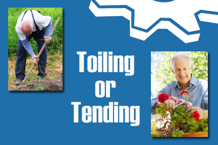 tending versus toiling in your business