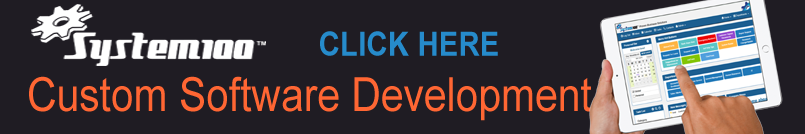 custom software development demo