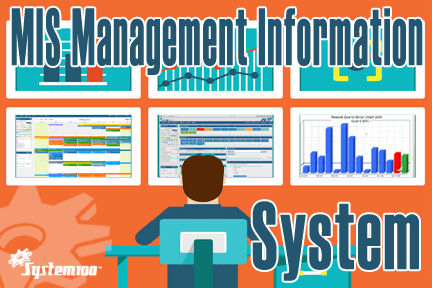 MIS Management Information System Software