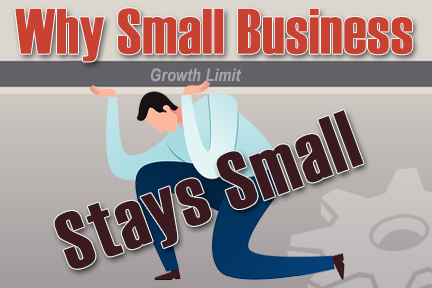 Why Small Business Stays Small 